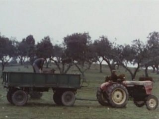 MAQUINARIA AGRICOLA  CAMPESINOS